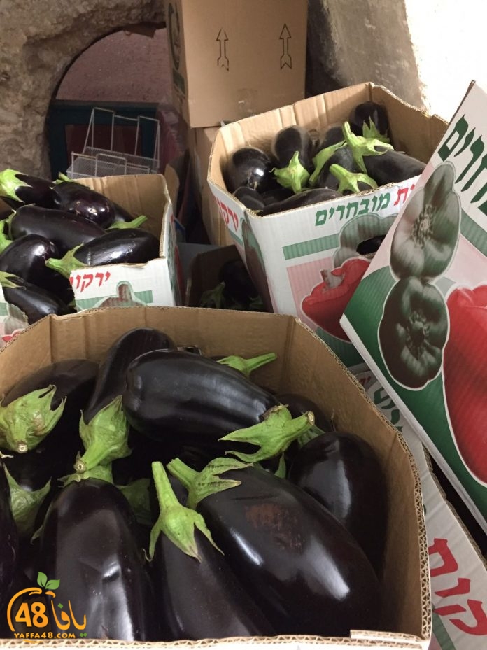 lud lajna zakahshd (12).jpg